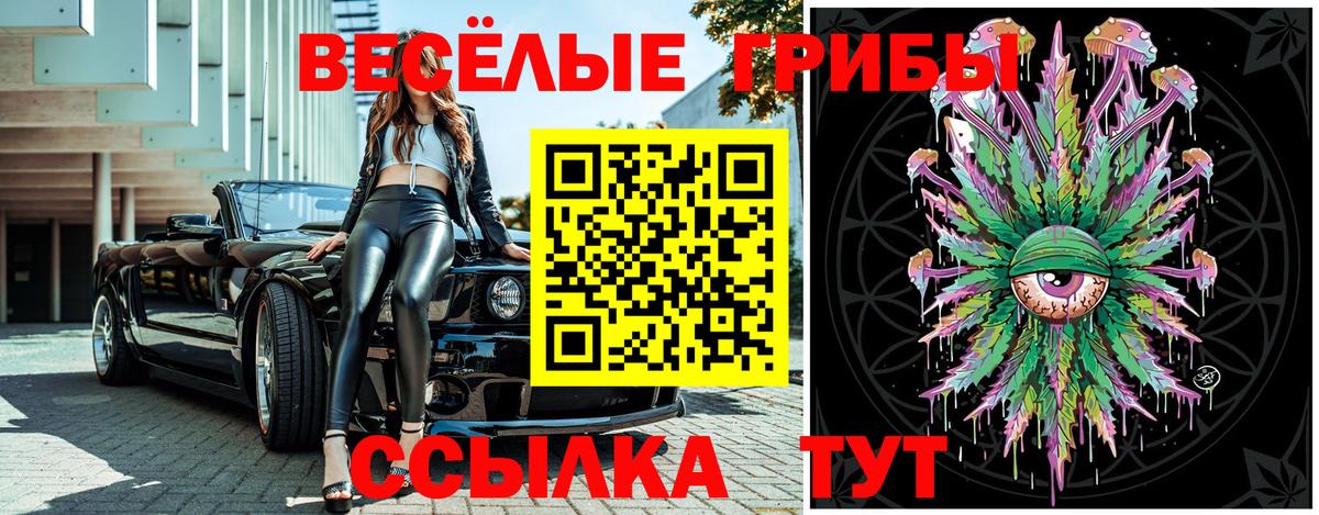 Галлюциногенные грибы прущие грибы Светлоград