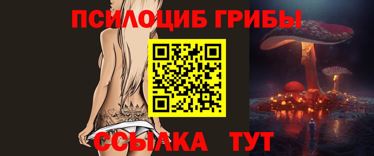 Светлоград  Галлюциногенные грибы Psilocybine cubensis  Вход с VPN 